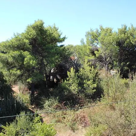 Dalmatia Sunshine Διαμέρισμα *